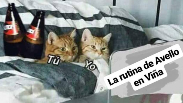 Se viene el “Pececillo”: Los memes que surgen en la previa del show de Felipe Avello