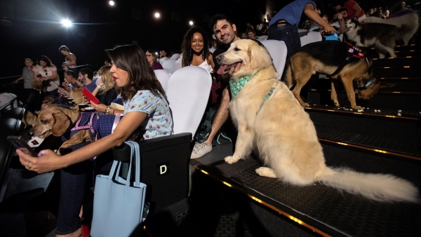 Un cine en Brasil ofreció función para espectadores y sus perros