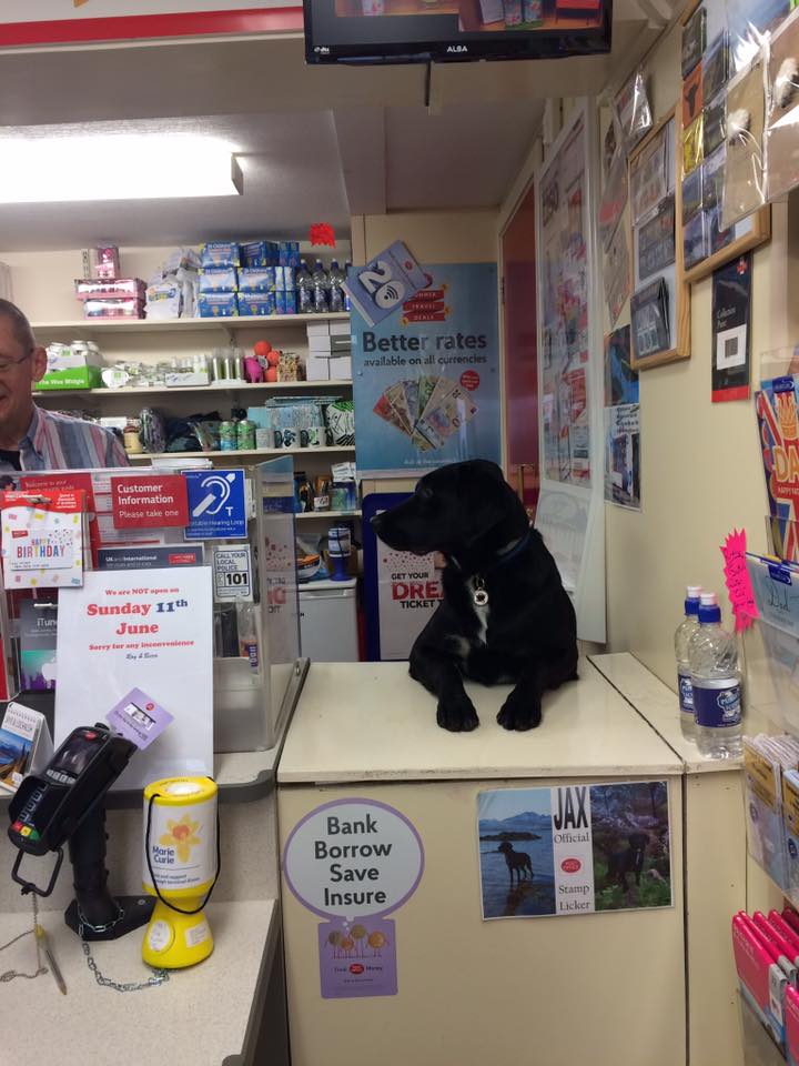 Imagen foto_00000001