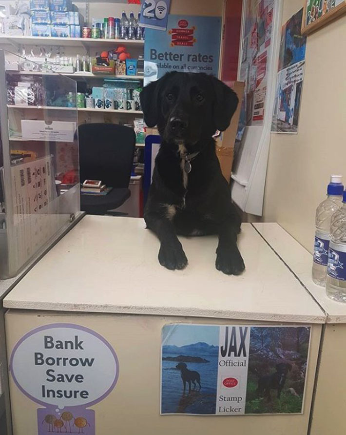 Imagen foto_00000002