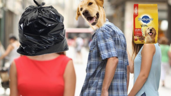 Imagen foto_00000016