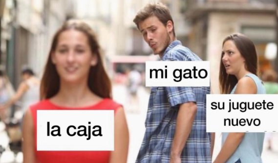 Imagen foto_00000018