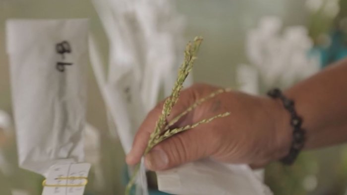Suelten las amarras: El momento exacto que una pareja de enamorados se queda abajo del crucero