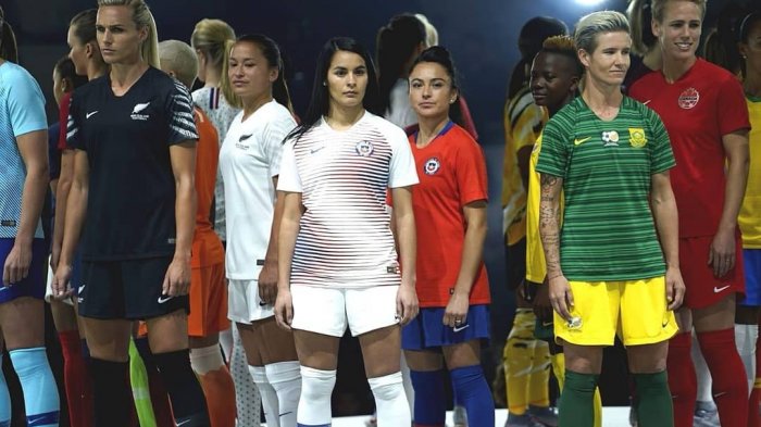 La nueva camiseta de la Roja para el Mundial de Francia incluye en su diseño la estrella de 8 puntos de la bandera mapuche