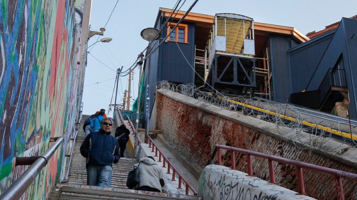 Cruel maltrato animal: Impacto por gatos muertos que aparecieron colgados en un poste de Valparaíso