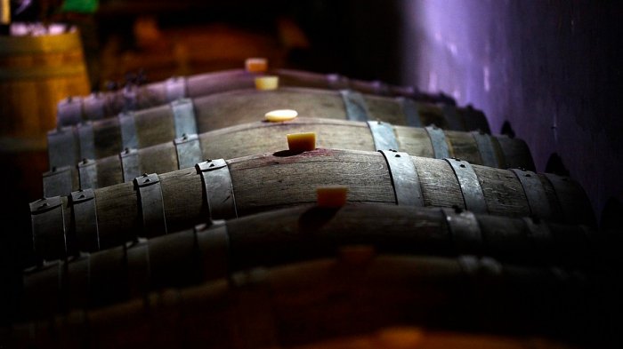 Chile exporta más de 850 millones de litros de vino cada año: ¿Para dónde se van?