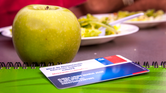Beca Junaeb amplió beneficios: Se podrá comprar en ferias libres y acceder a precios preferentes en supermercados