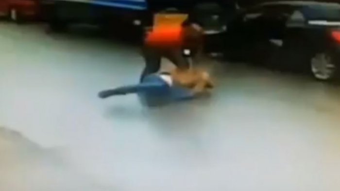 Captan la paliza que un ex boxeador le propinó a delincuentes que robaban su vehículo