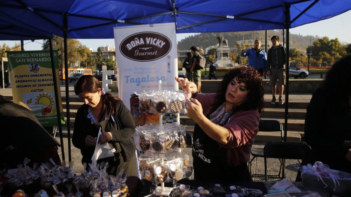 ¿Buscas trabajo o tienes una pyme? Mira cómo postular a los 30 mil cupos para programas de emprendimiento y empleabilidad