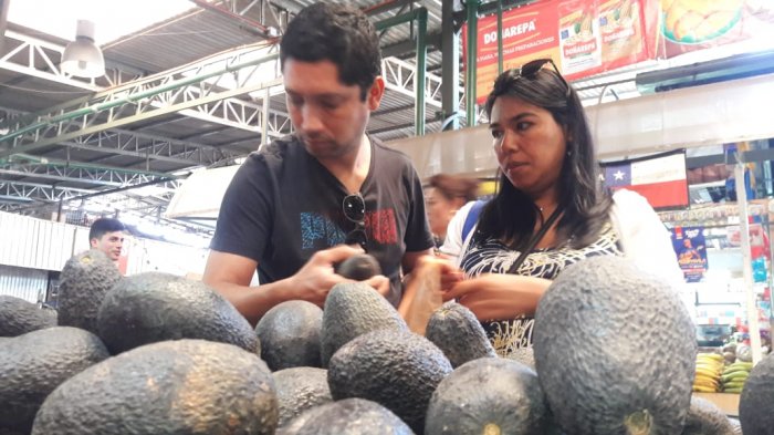 El poder secreto del cuesco de la palta: Ayuda al tratamiento de la artritis y hasta del cáncer