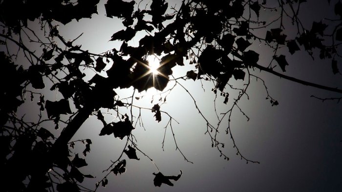 Se prolonga la sequía: Pronostican un otoño seco y cálido en la zona central del país