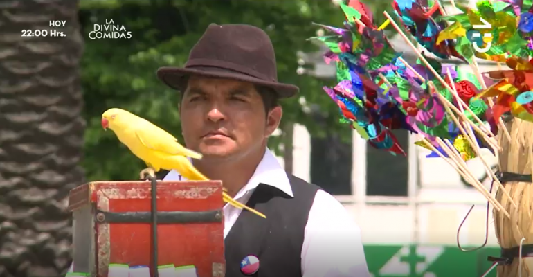 Conocimos la historia del organillero más famoso de Valparaíso