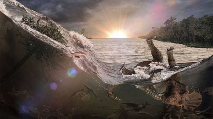 El impacto Chicxulub: Asombrosos fósiles cuentan la historia del apocalipsis de los dinosaurios