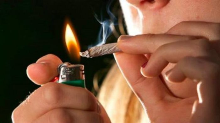 Presidente Piñera presentó Plan Elige Vivir sin Drogas para prevenir consumo en menores de edad