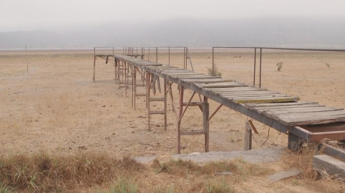 Paine se seca: La tragedia de familias y pequeños agricultores que se quedaron sin agua