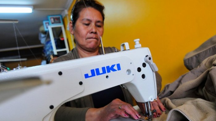 Capital Abeja 2019: Sepa cómo postular para recibir hasta $3.500.000 y concretar tu emprendimiento