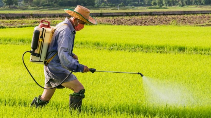 Uno de los pesticidas más usados del mundo será prohibido en la Unión Europea