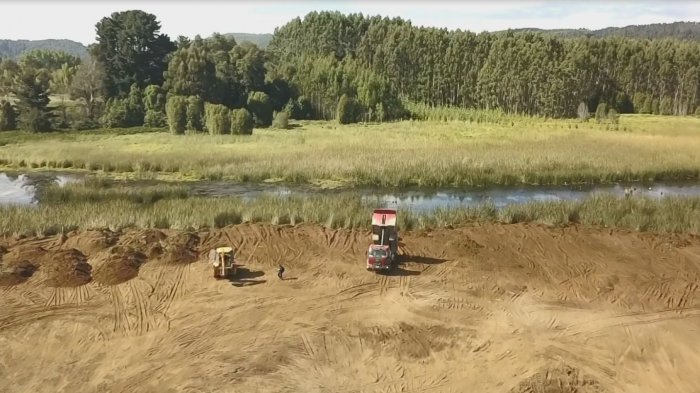 Humedal Angachilla está siendo rellenado pese a anuncio de gobierno de 