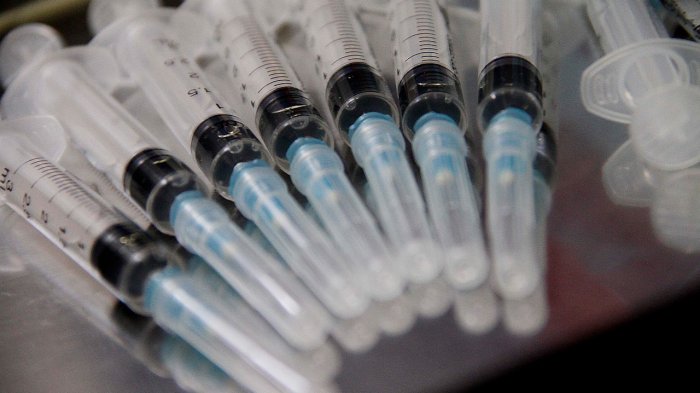 Resistente a fármacos y altamente mortal: El hongo que amenaza a la salud mundial