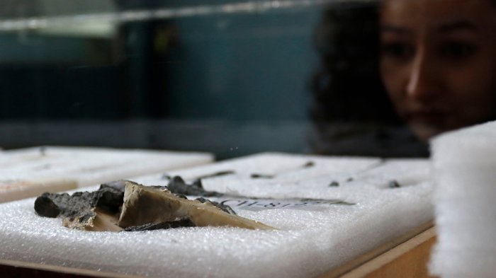 Cambia la historia: Encuentran en Filipinas restos de una nueva especie humana