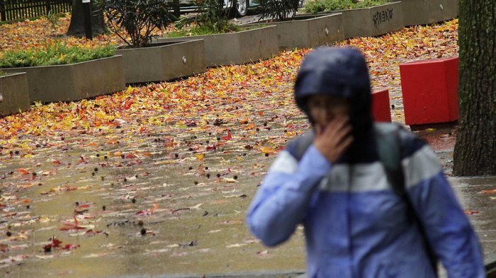 ¿Llegarán a Santiago? Emiten alertas meteorológicas por fuertes vientos en el sur del país