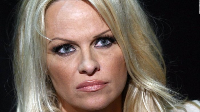 Pamela Anderson se pronuncia sobre la detención de Julian Assange: 