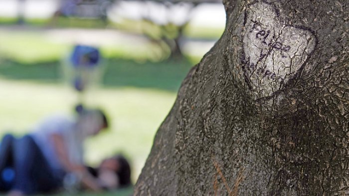 Mujer demanda a municipio de Quintero por $150 millones tras ser fotografiada por cámara de seguridad