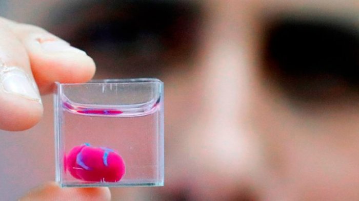 Científicos logran imprimir el primer corazón funcional y palpitante