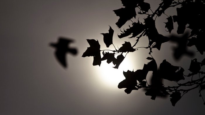 ¡Se tenía que preguntar y se preguntó! Si en “abril, lluvias mil” entonces, ¿por qué no llueve?