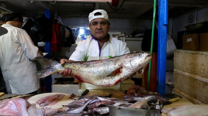 Para no enfermarse en Semana Santa: Estos son los errores más habituales a la hora de comprar pescado