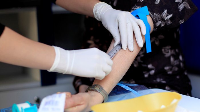 Células madre: Estos son los pasos para registrarte como donante y así curar más de 70 enfermedades