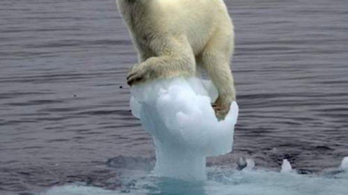 “Es escoger la ignorancia”: El negacionismo ante el cambio climático y los peligros que conlleva