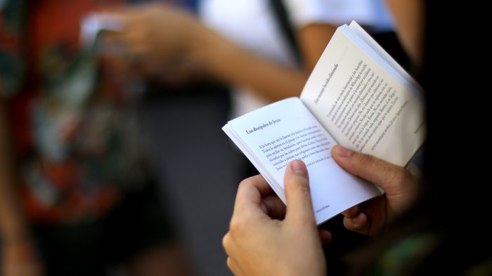 Últimos días: Entérate cómo postular a los Premios Literarios 2019