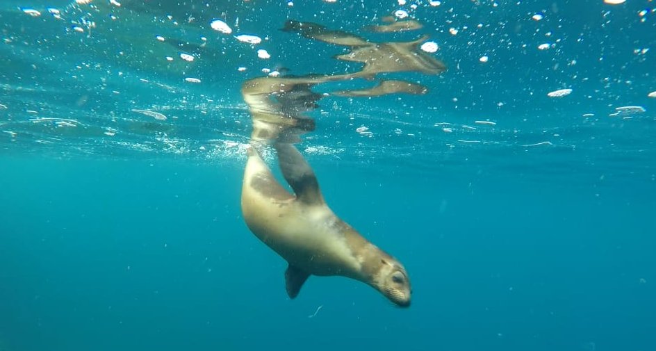 Imagen foto_00000022