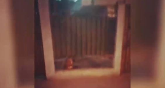 Captan a niño de hogar de Coanil llorando y gritando por ayuda: “Lo estaban pateando en el suelo”