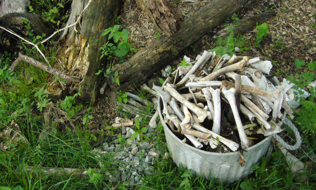 Transforma tu cadáver en composta, la forma sustentable de manejar tus restos cuando mueras