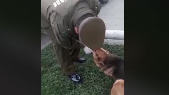 Viralizan video donde carabineros ayuda a perrito que estaba atragantado con un hueso