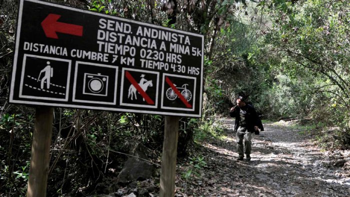 Sueldos podrían llegar hasta $1.200.000: Conaf necesita 1.500 guardaparques para trabajar en áreas silvestres