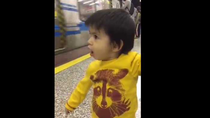 El tierno video que muestra a un niño deslumbrado al ver por primera vez el Metro