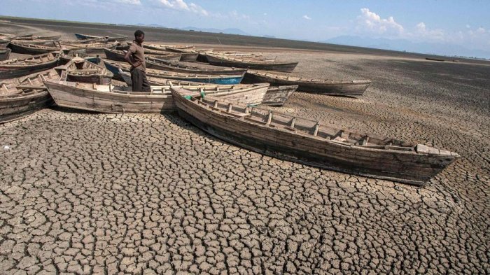Sequías e inundaciones: El fenómeno del Niño se ha vuelto cada vez más fuerte y errático