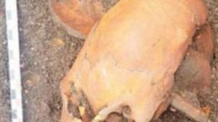 Tendría más de mil años: Hallan misterioso cráneo alargado en el borde costero de Arica