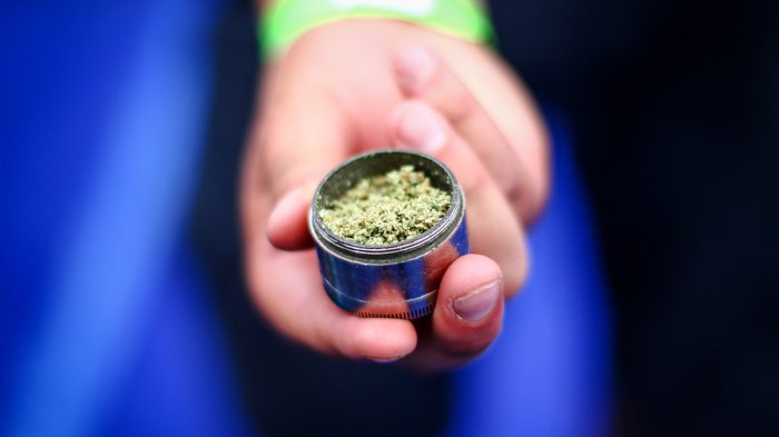 ¿Podría pasar en Chile? Conocido parque en Berlín tendrá un sector especial para traficantes