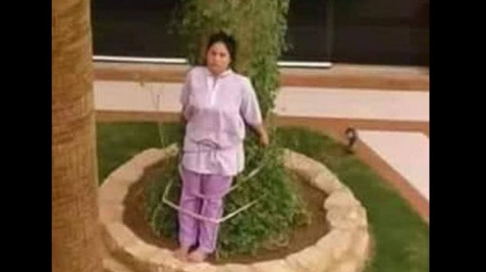 La insólita razón por la que un empresario amarró a un árbol a su asesora del hogar