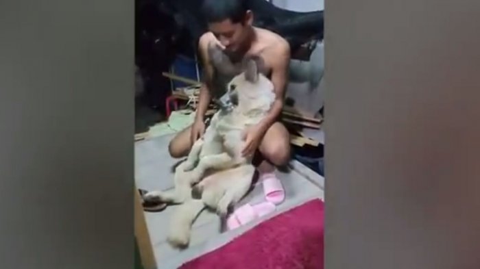 La tierna táctica de un perro para evitar la hora del baño