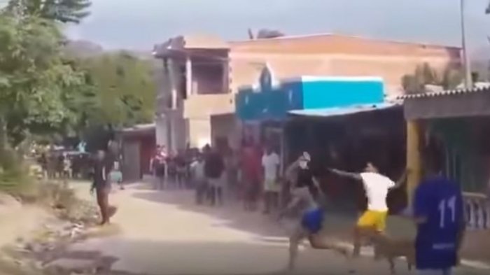 Mujer cambió su clave del WiFi y los vecinos colgados apedrearon su casa