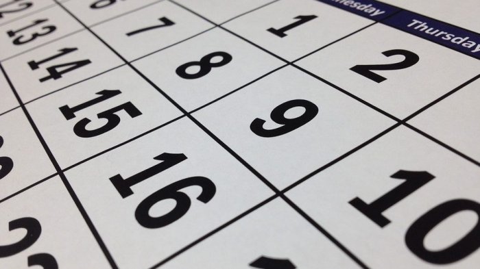 ¿Cuántos feriados quedan para este 2019?