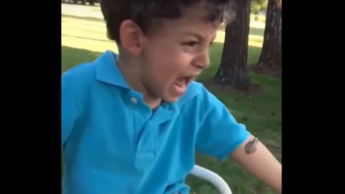 Trauma de infancia: Se le encaramó una rana y la mamá terminó metiéndosela en la boca