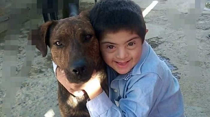 Envenenan y matan a perrito guía de niño de 9 años con síndrome de Down