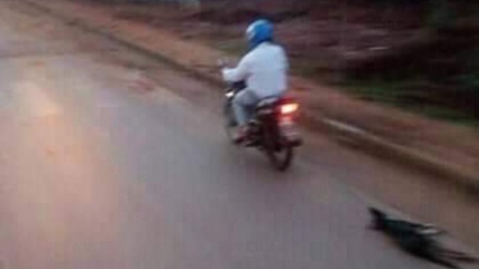 Despiadado maltrato animal: Hombre arrastra a perro colgado de una moto en movimiento hasta matarlo