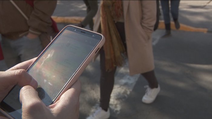¿Automovilistas o peatones? De quién es la culpa de los atropellos a personas que cruzan la calle mirando el celular